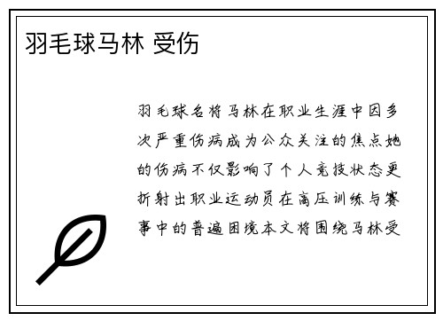 羽毛球马林 受伤